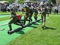 bild (31)